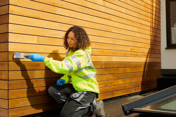 Best Siding Painting and Refinishing  in Cherry Brah, NC